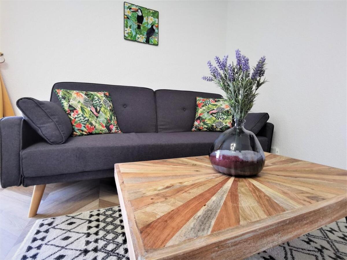 T2 Cosy ₪ Residence Securise ₪ Airbus ₪ Piscine Colomiers Kültér fotó